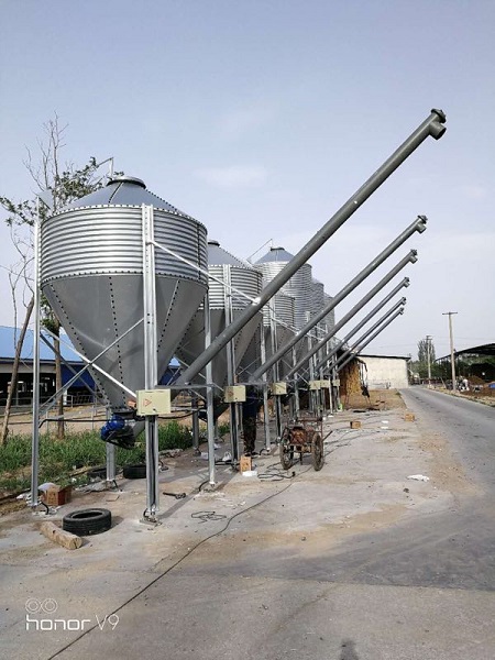 畜牧業(yè)養(yǎng)殖戶選擇料塔料線的四點原因！