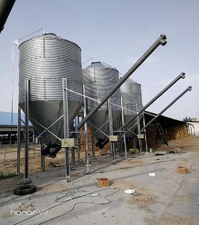 在養(yǎng)豬場的料塔料線，我們應該怎樣維護與保養(yǎng)！